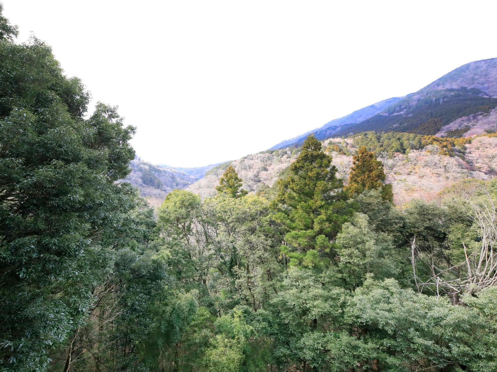 Hot Spring Inn Hakone Suisen Exterior photo
